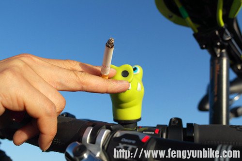 小鳄鱼也辛苦了，来根儿