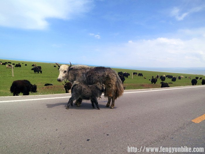 在路中间吃饭的小朋友^_^