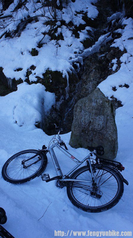 来给租的驹留个影