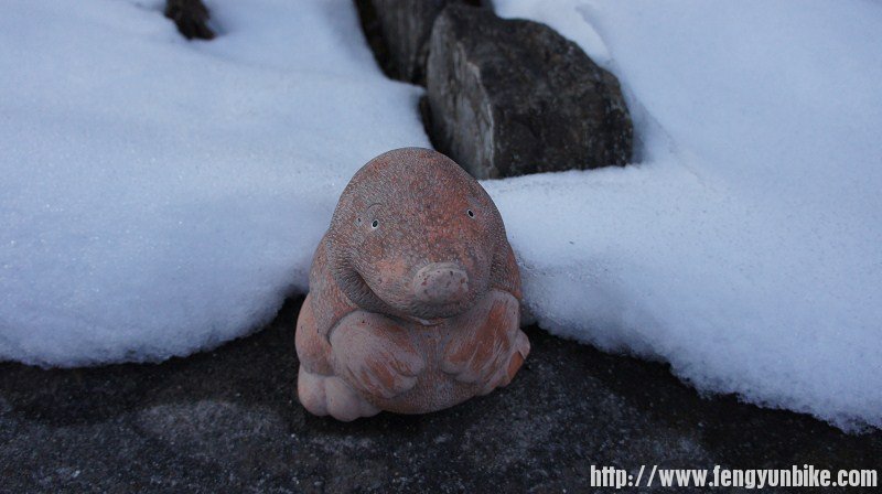 路边住家校园的装饰物，每家都会有点的。