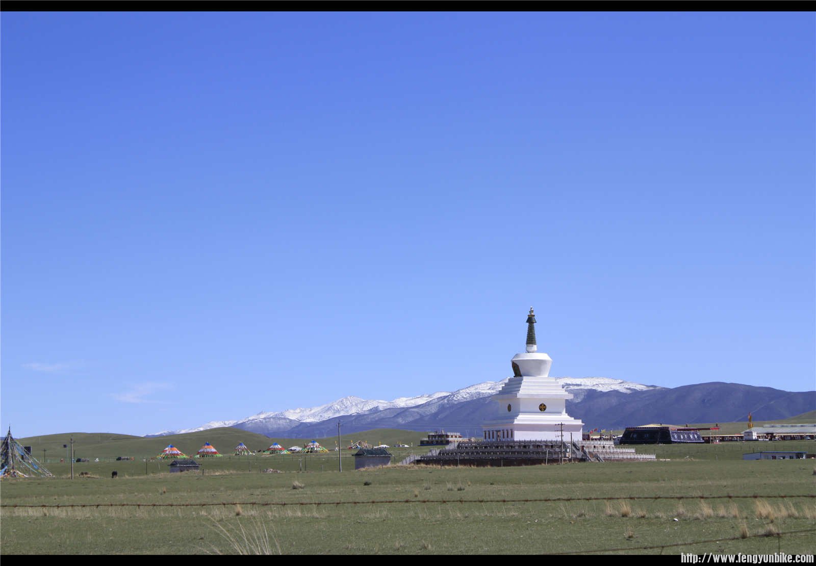 西海镇出来的白塔