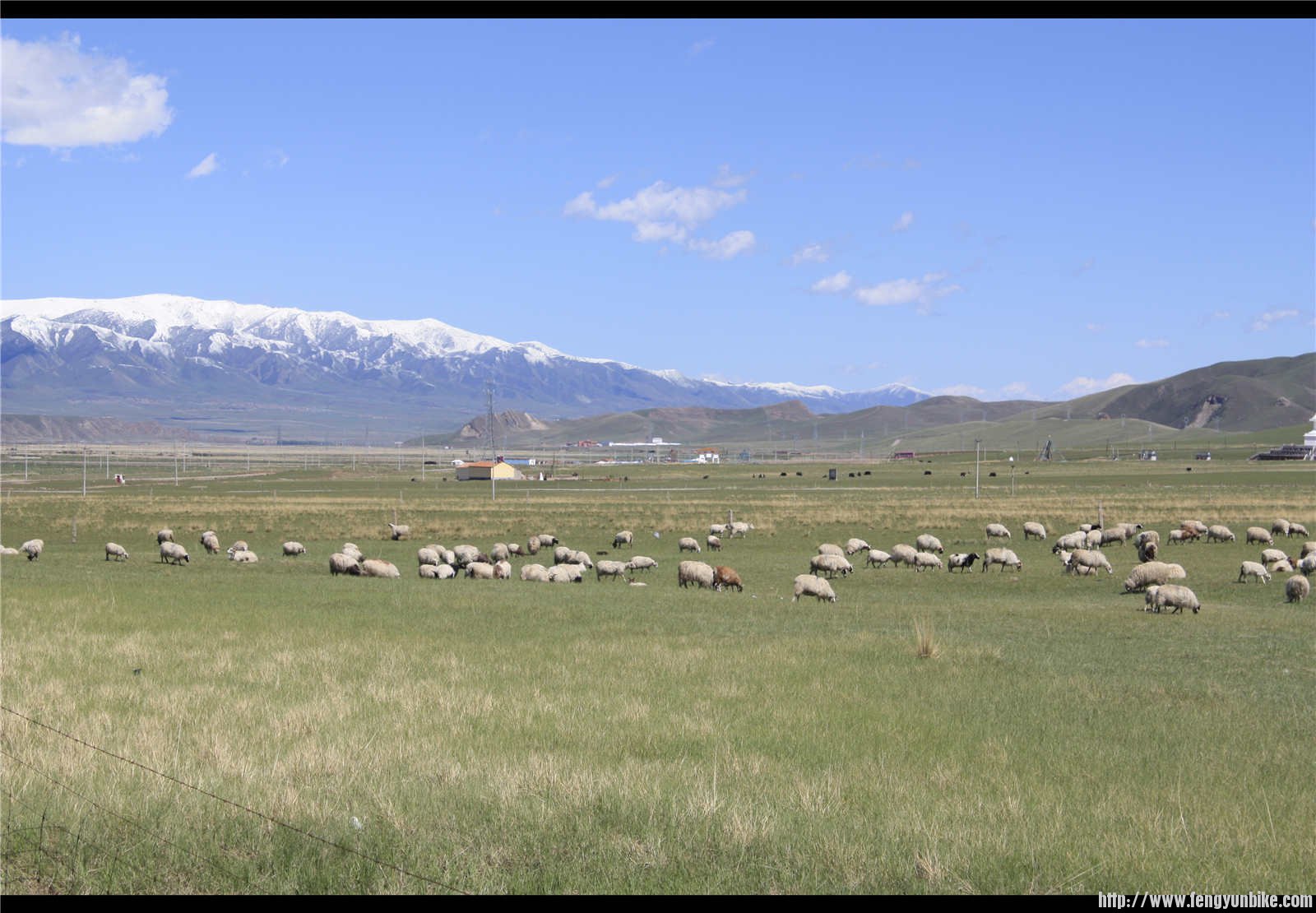 天地之间皆是可涮的羊肉