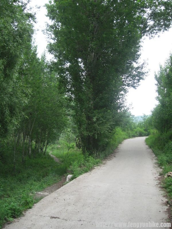 王小沟、大营子 020.jpg