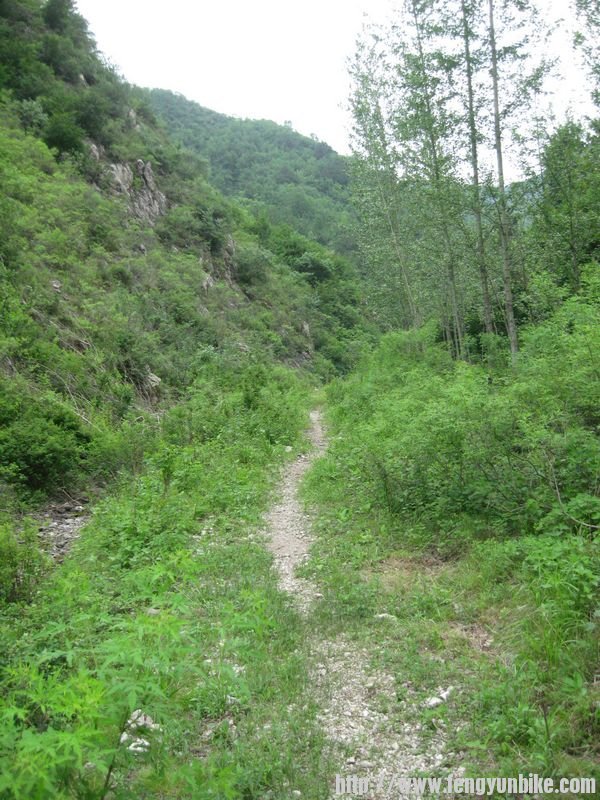 王小沟、大营子 038.jpg