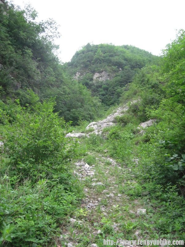 王小沟、大营子 042.jpg