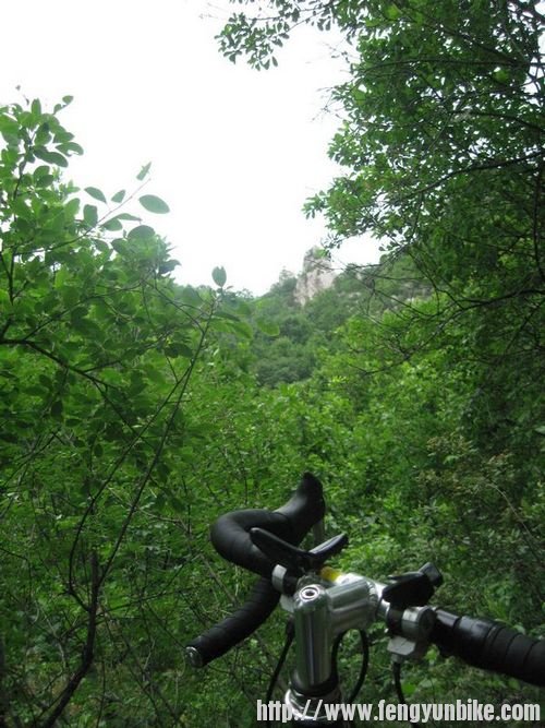 王小沟、大营子 048.jpg