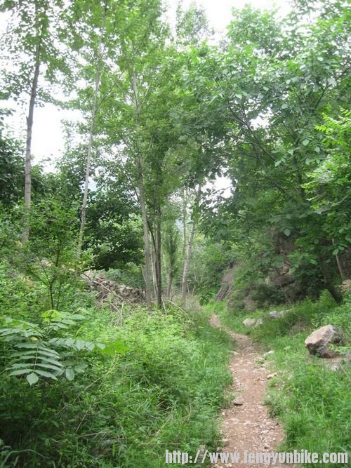 王小沟、大营子 091.jpg