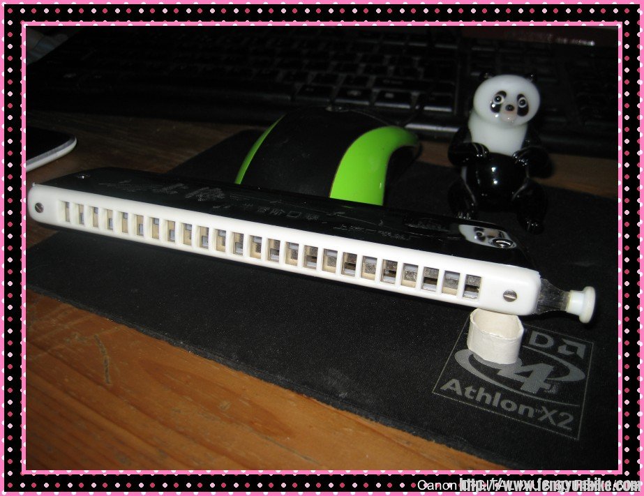 照片 469_conew1.jpg