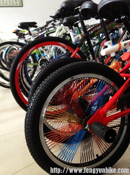 这叫什么车来着