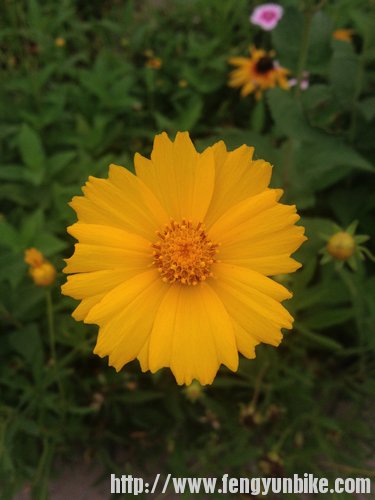 这张是友情赠送的~~~