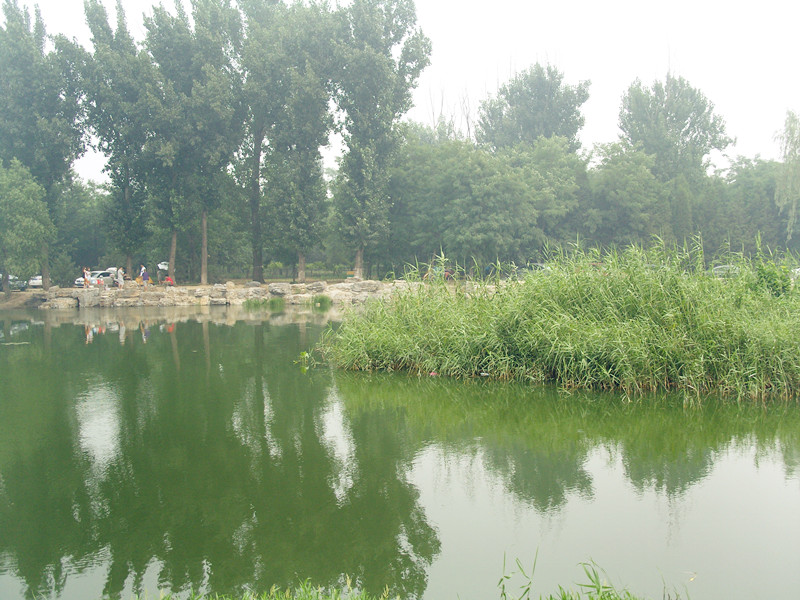 49.jpg