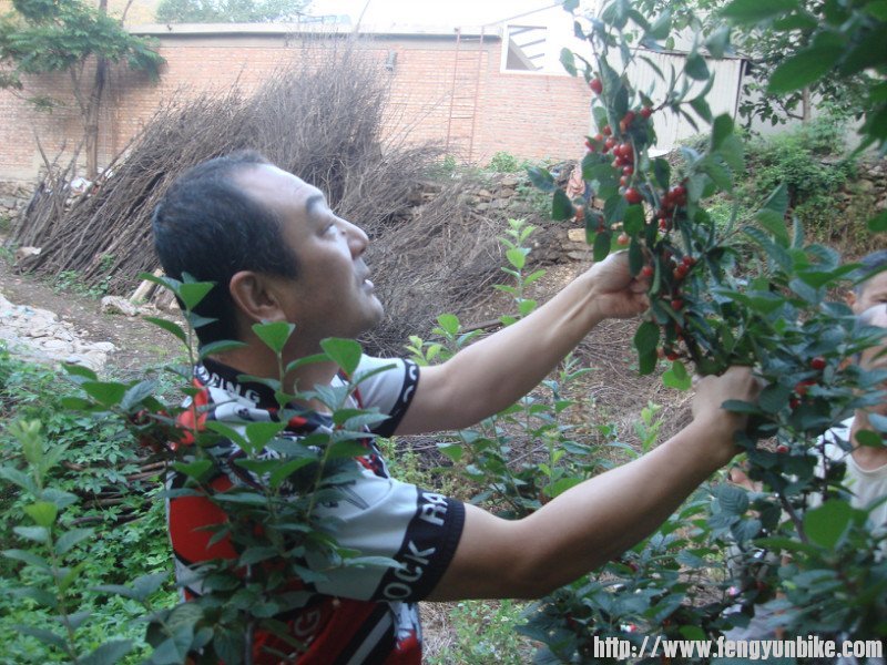 果子多了可以挑着吃
