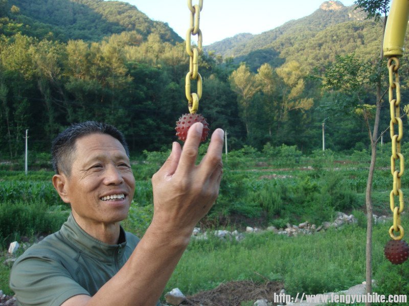 这里的健身器械没人用，还扎手呢