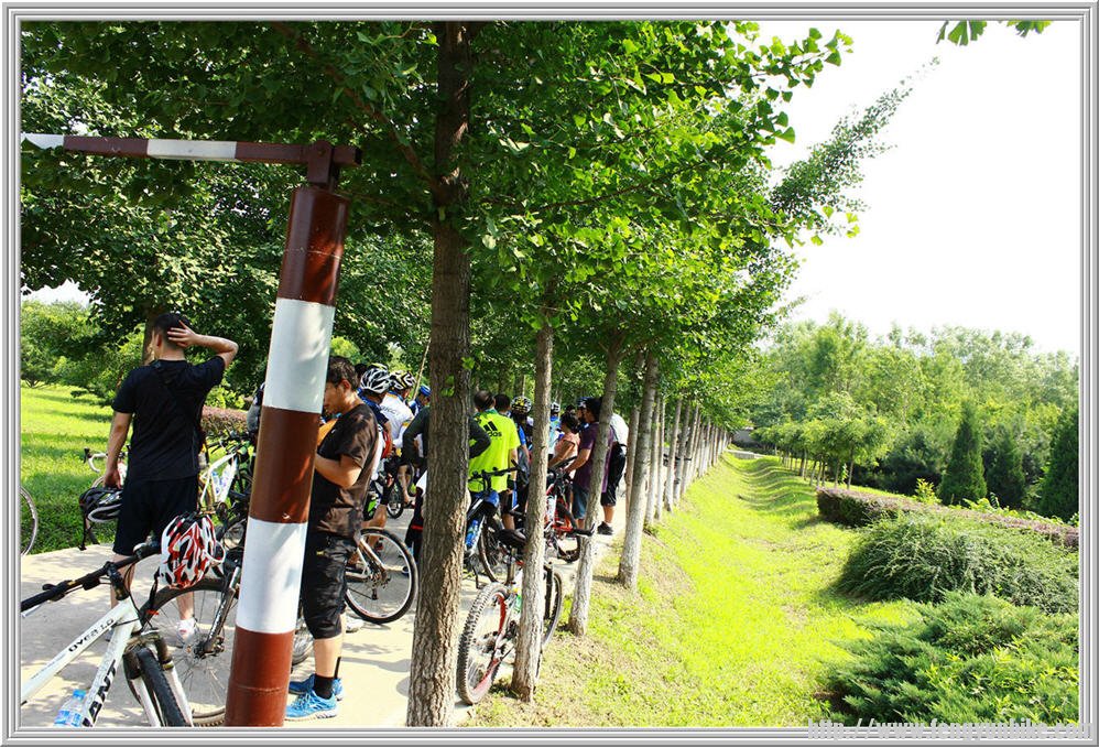 Copy of IMG_3442.jpg