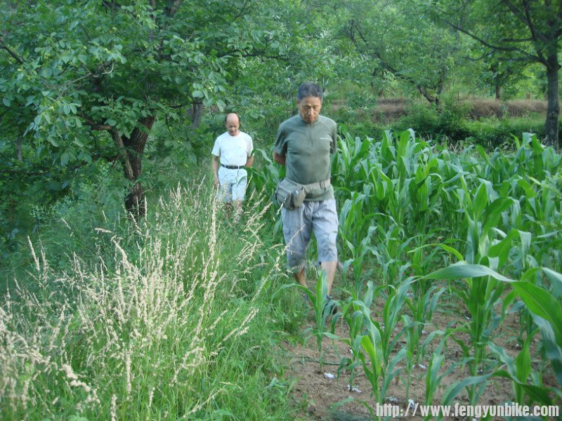 看这个样子咋都是抓坏蛋呢