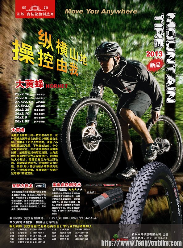 2013 大黄蜂 山地车轮胎单页(2013.3.11..1简体版) 拷贝_副本.jpg