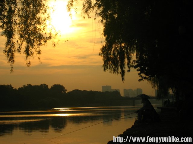 阳光照射在河面