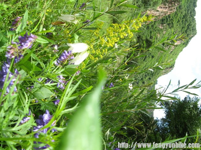 老掌沟穿越 013.jpg