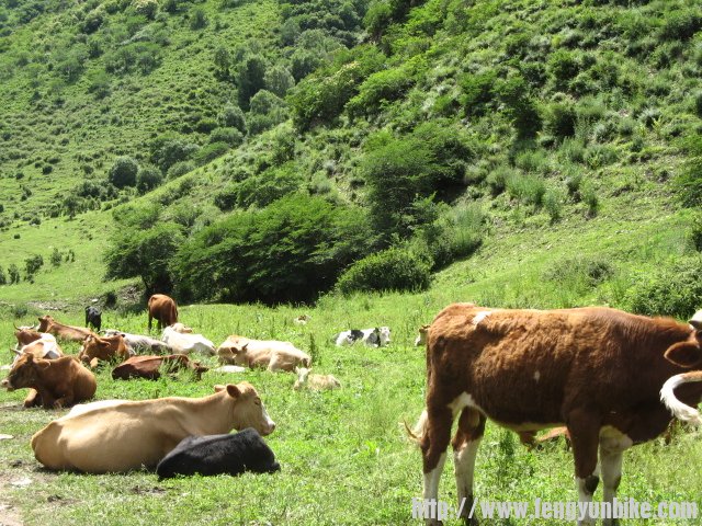 老掌沟穿越 028.jpg