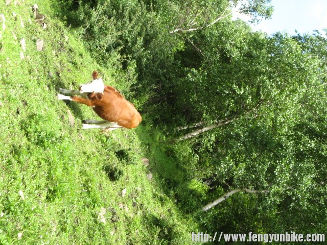 老掌沟穿越 031.jpg