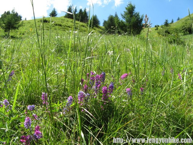 老掌沟穿越 048.jpg