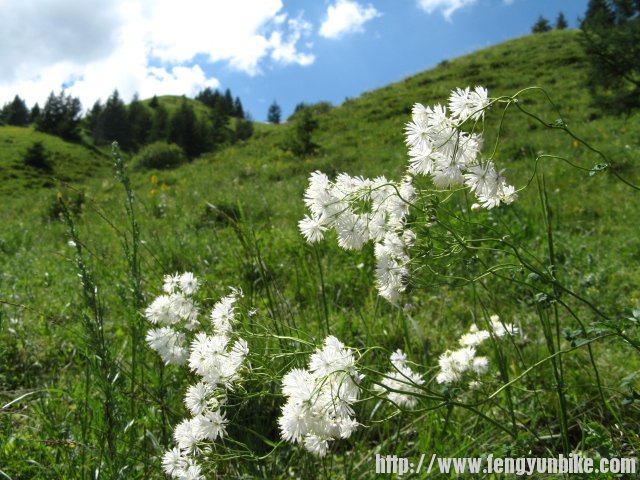 老掌沟穿越 050.jpg