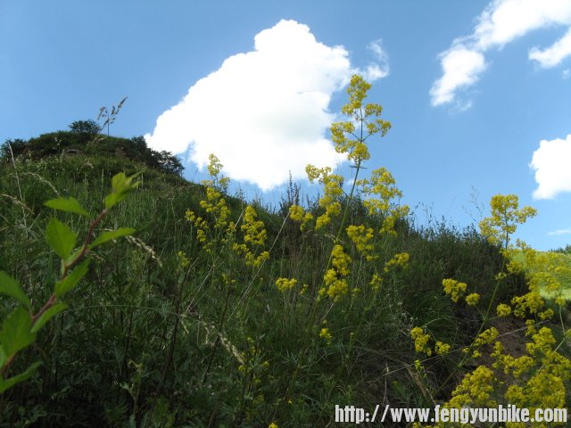 老掌沟穿越 052.jpg