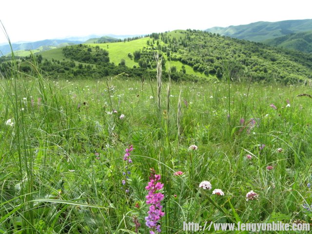 老掌沟穿越 063.jpg