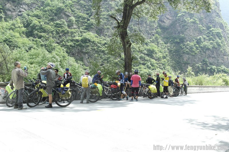 一个树荫就这么多休息的人