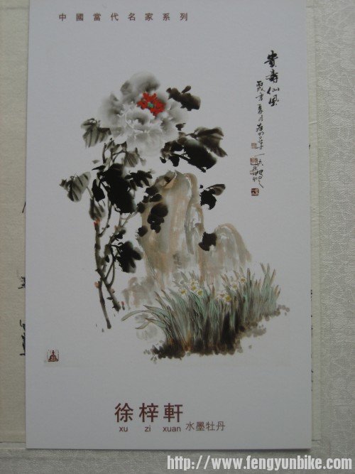 照片 514_conew1.jpg