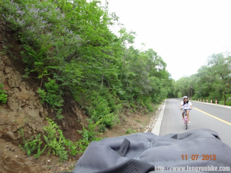 DSC00947 (800x600).jpg