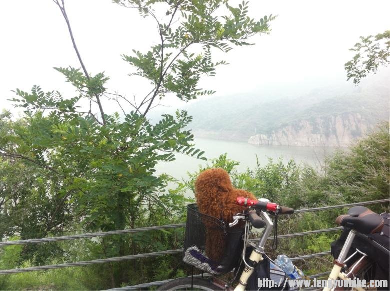 远方是白河堡水库，淘淘都懒得下车了