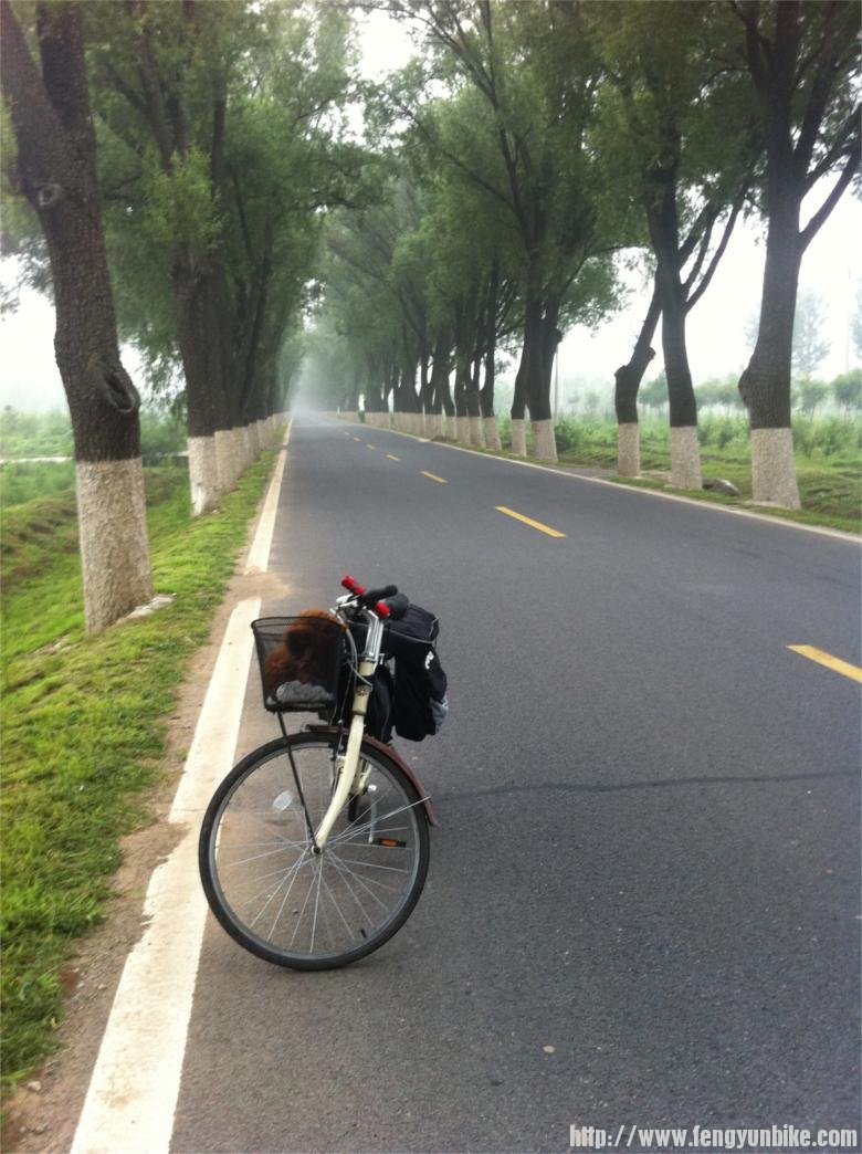 早晨，从永宁出发，一路美景，清新怡人