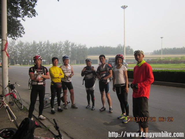 早上枯柳树环岛