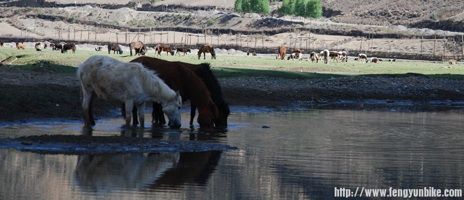 一路风景如诗如画