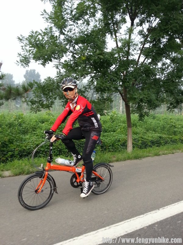 20130720_080315(0) (600x800).jpg