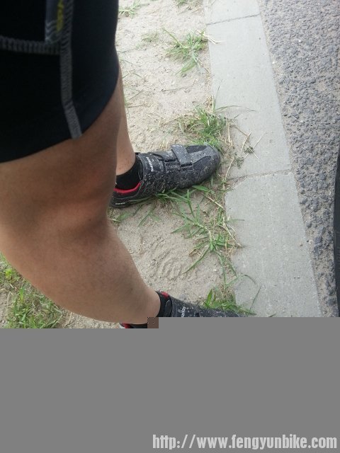 20130720_102407 (480x640).jpg