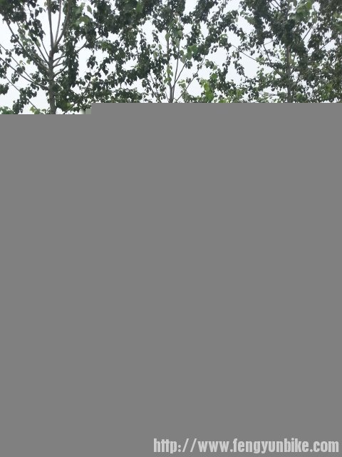 20130720_105242 (480x640).jpg