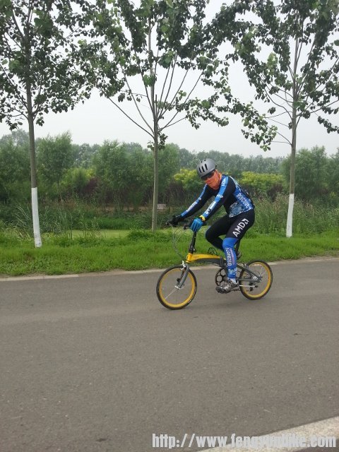 20130720_105254 (480x640).jpg