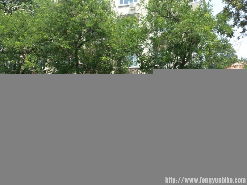 20130721_110840 (600x800).jpg