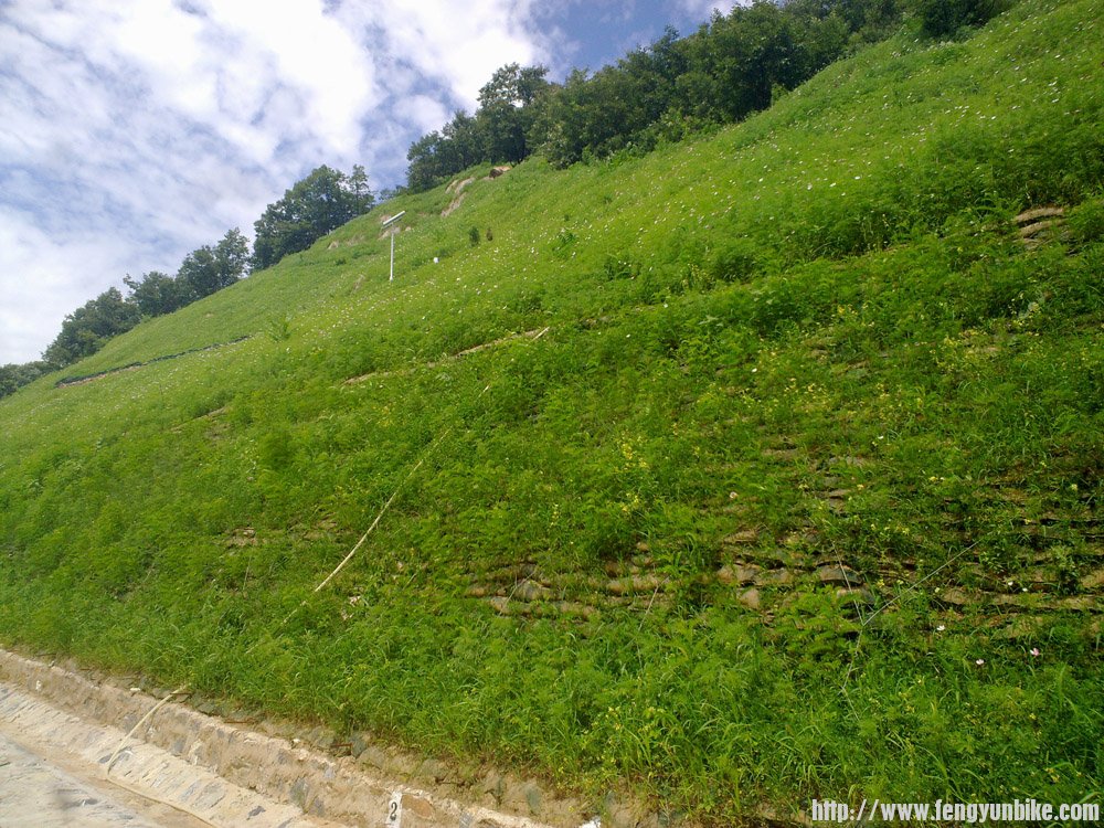 谭王路上的风景3