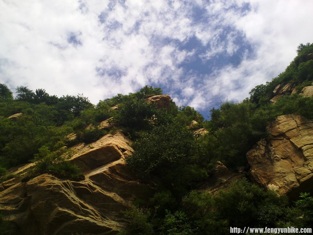 谭王路上的风景5