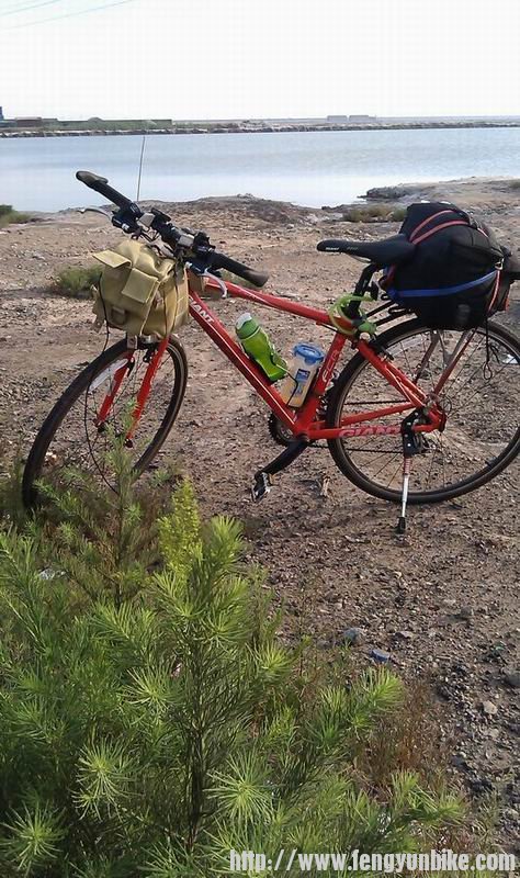 终于有一点绿色