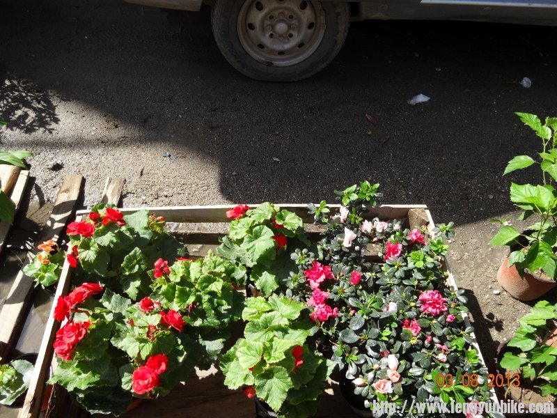 DSC01078 (800x600).jpg