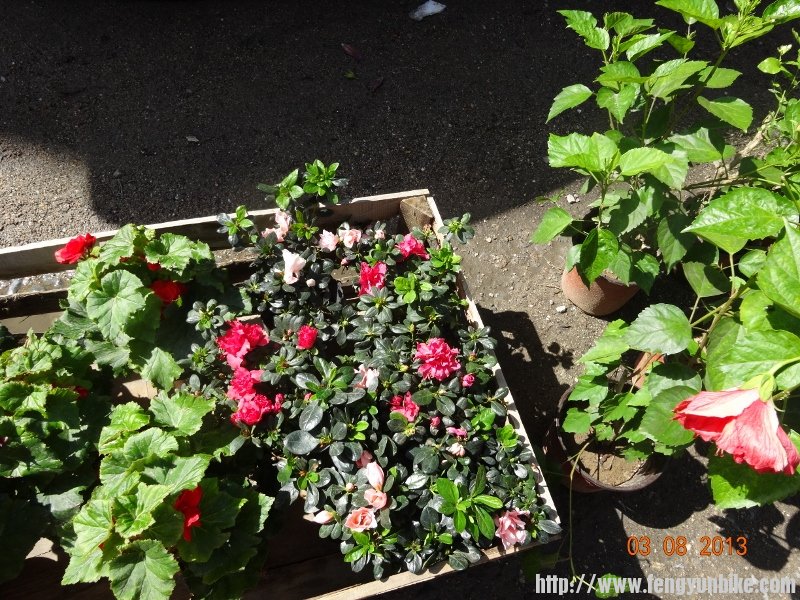 DSC01079 (800x600).jpg