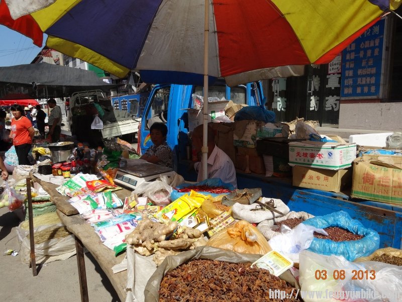 DSC01085 (800x600).jpg