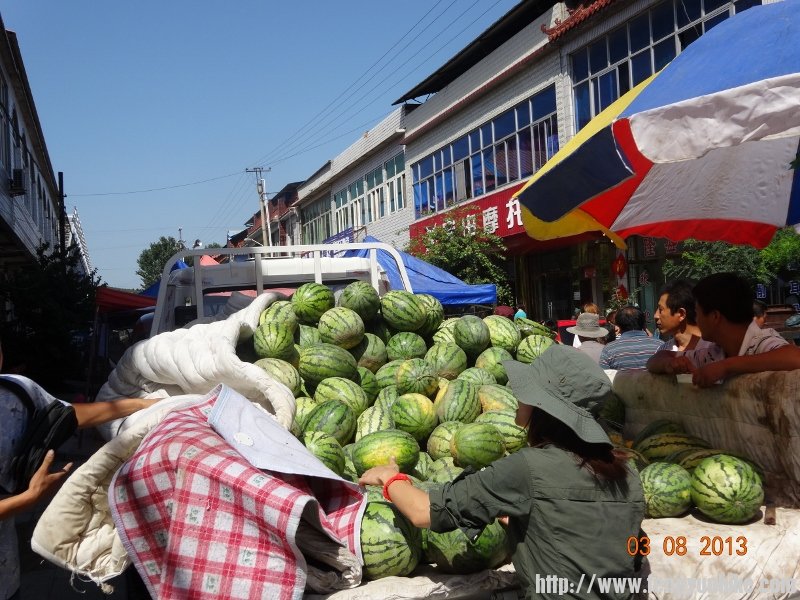 DSC01107 (800x600).jpg