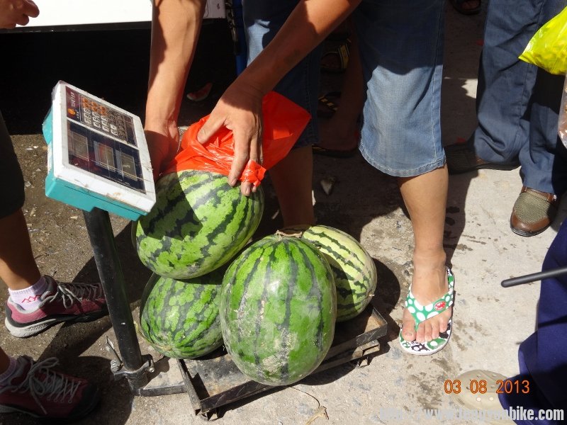 DSC01108 (800x600).jpg