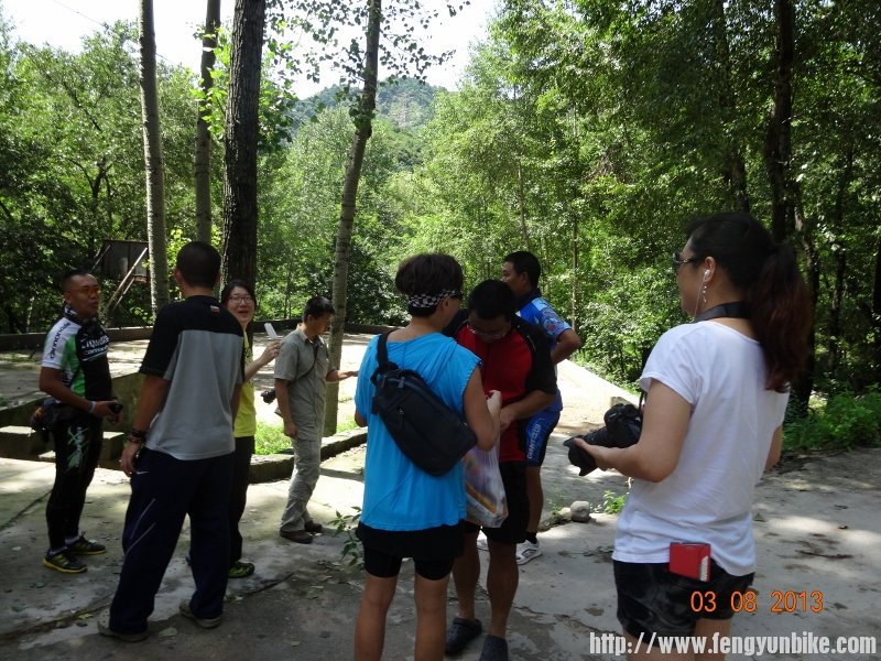 DSC01118 (800x600).jpg