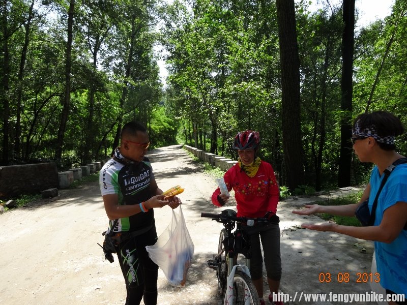 DSC01127 (800x600).jpg